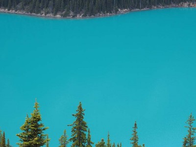 Diepblauwe kleur Peyto Lake