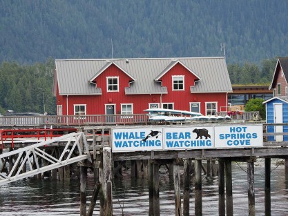 hiervandaanopwalvisjacht